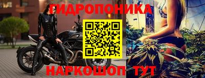 тгк Ленинск-Кузнецкий